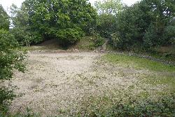 Silchester Castle